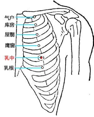 乳穴